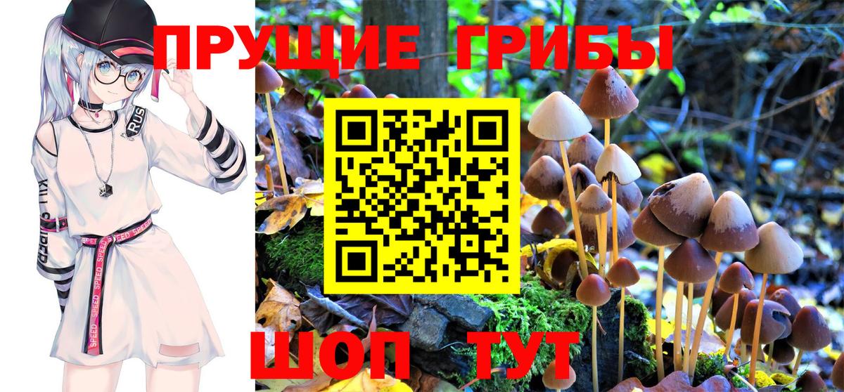 Псилоцибиновые грибы MAGIC MUSHROOMS Рузаевка
